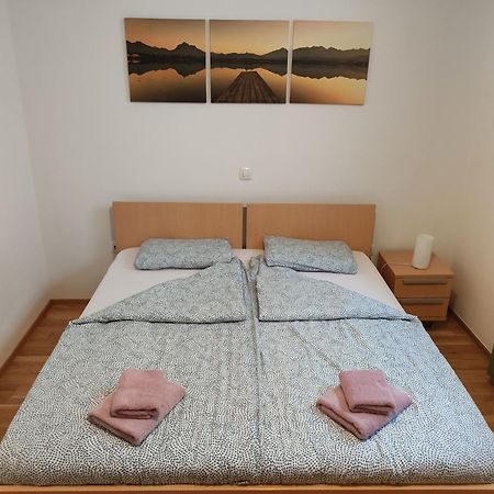 6 B Zgosa Leilighet Dvorska Vas Eksteriør bilde